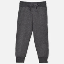 Load image into Gallery viewer, Cotton Regular Fit Joggers
