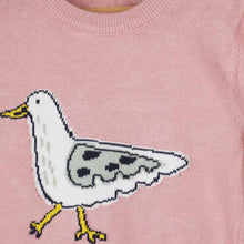 Load image into Gallery viewer, Pink Bird Theme Sweater With Striped Bottom
