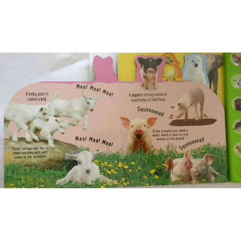 Noisy Baby Animal Sound Book