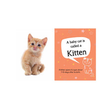 Load image into Gallery viewer, My First Book Of Baby Animals Board Books
