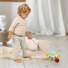Load image into Gallery viewer, Peekaboo Pull Along Little Stroller
