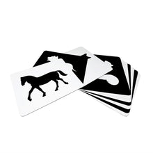 Load image into Gallery viewer, Quantum Animals Flashcard Black &amp; White
