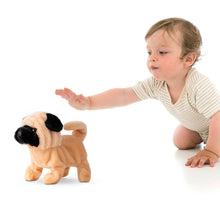 Load image into Gallery viewer, Peanut The Pug Walking Dog Toy
