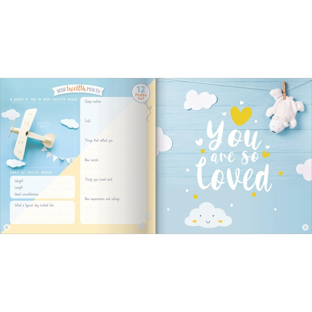 My Baby Record Book