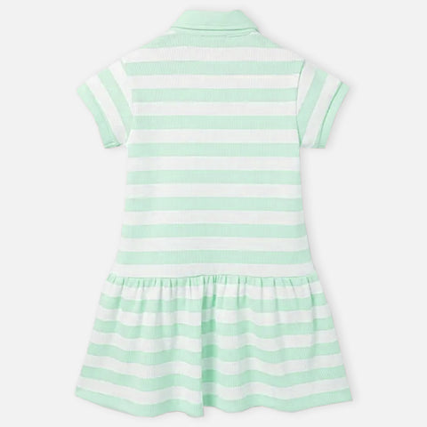 Green Striped Polo Neck Dress