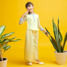 Load image into Gallery viewer, Yellow Floral Hand Embroidered Organza Top With Pant Co-Ord Set
