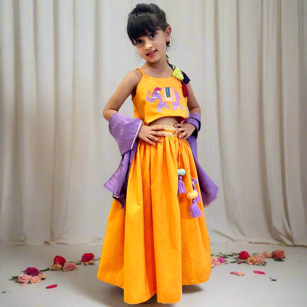 Orange Embroidered Choli With Cotton Lehenga & Dupatta