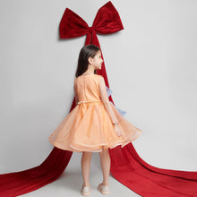 Load image into Gallery viewer, Peach Organza Frock
