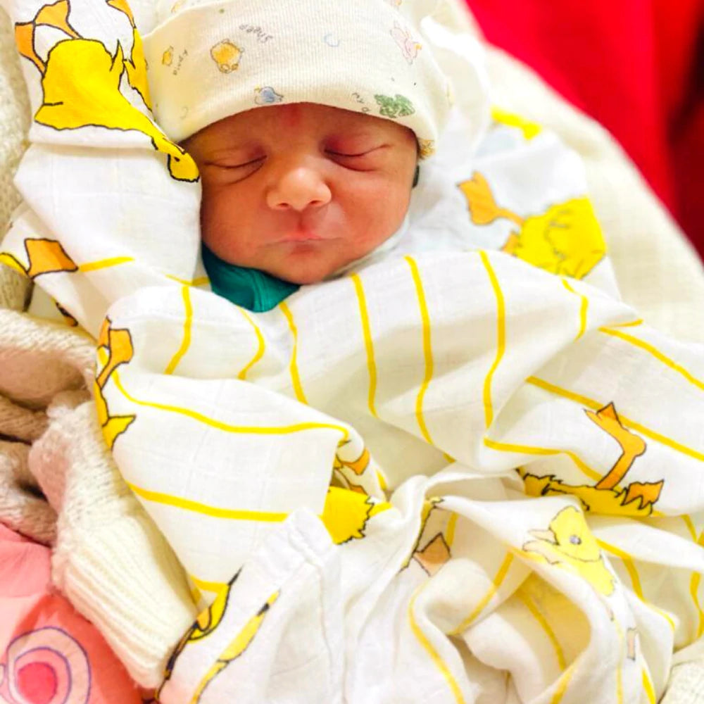 Duck, Sheep & Plain Combo Super Soft Classic Bamboo Cotton Swaddles