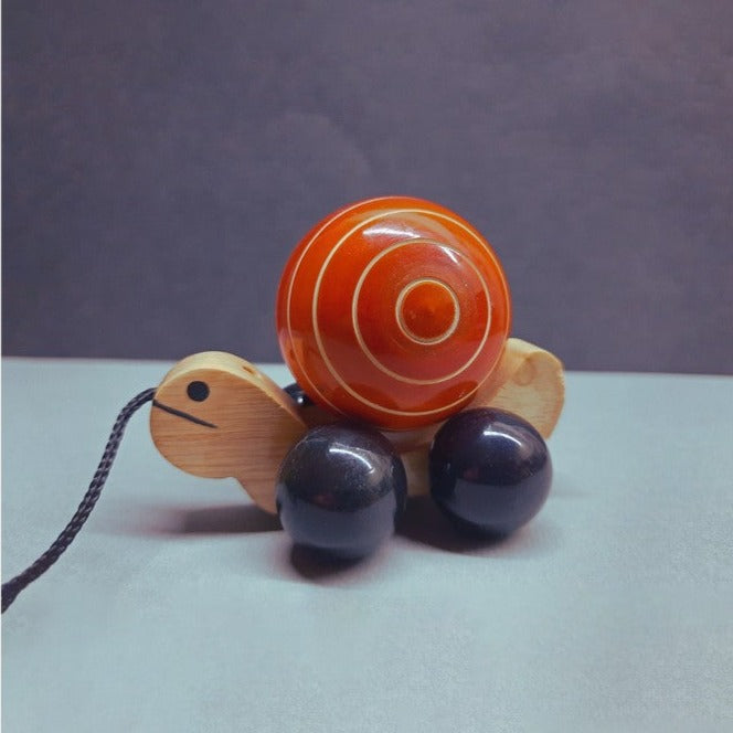 Cutie Pet Turtle Push And Pull Along Wooden Toy