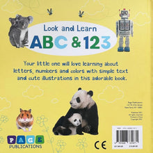 Load image into Gallery viewer, Look And Learn ABC &amp; 123 Board Book
