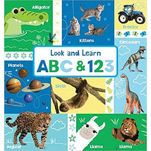 Load image into Gallery viewer, Look And Learn ABC &amp; 123 Board Book
