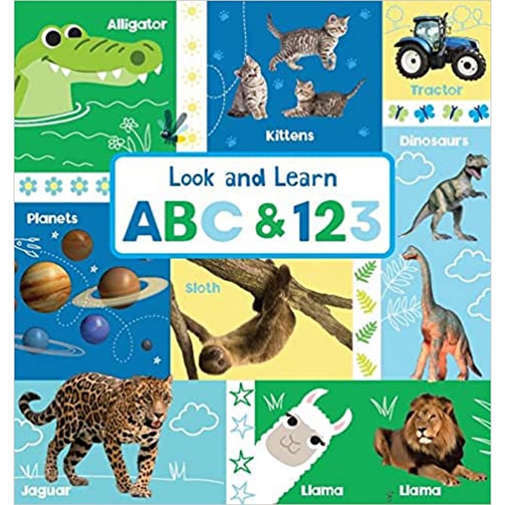 Look And Learn ABC & 123 Board Book