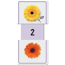Load image into Gallery viewer, Building Blocks Slide &amp; Learn Numbers Flash Cards
