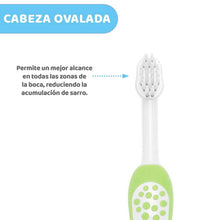 Load image into Gallery viewer, Green Baby Toothbrush
