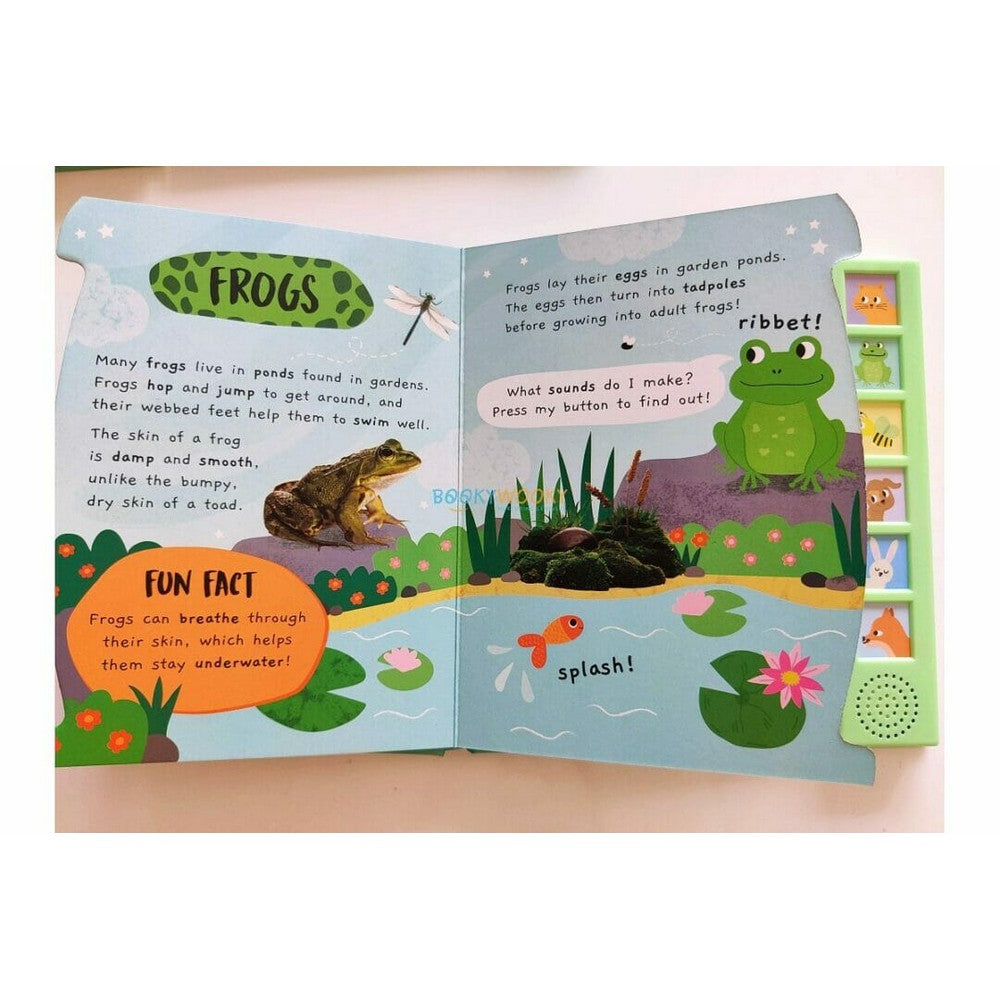 Noisy Garden Sound Book
