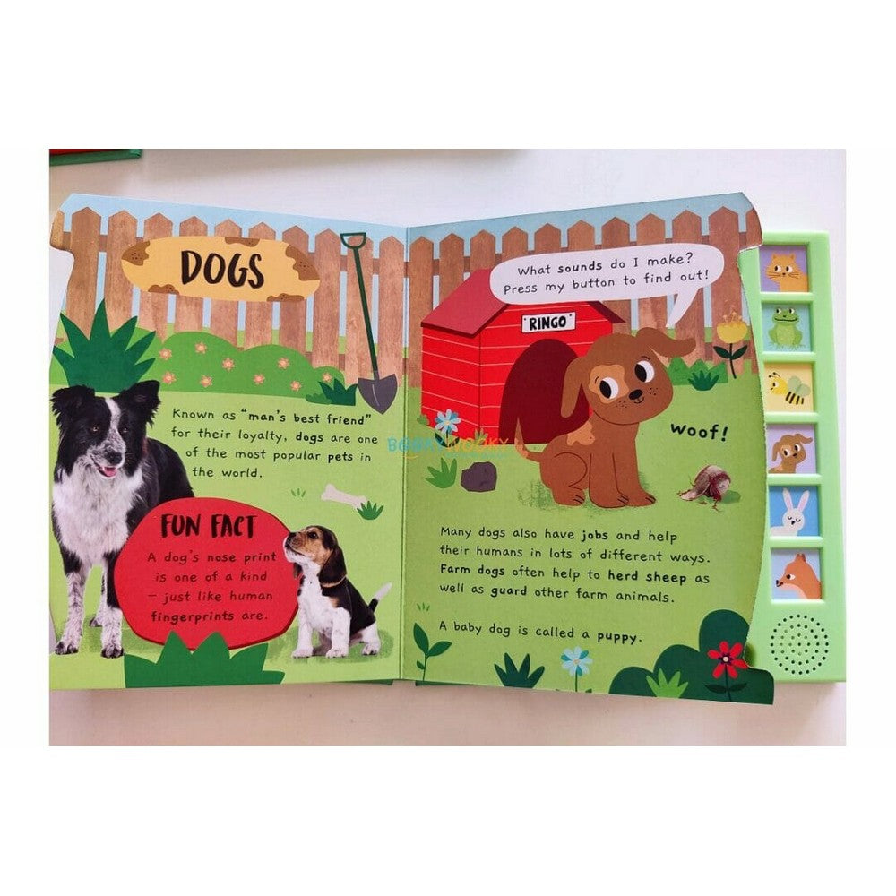 Noisy Garden Sound Book