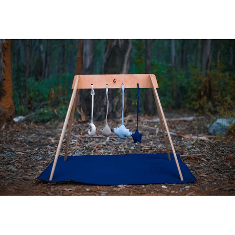 Playgym with Mini Tent