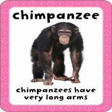 Load image into Gallery viewer, Get Set Go: Flashcards – Animal
