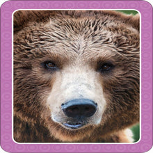 Load image into Gallery viewer, Get Set Go: Flashcards – Animal
