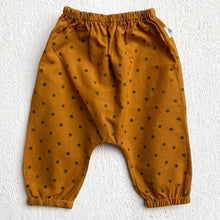 Load image into Gallery viewer, Organic Raidana Print Angarakha Top And Pants
